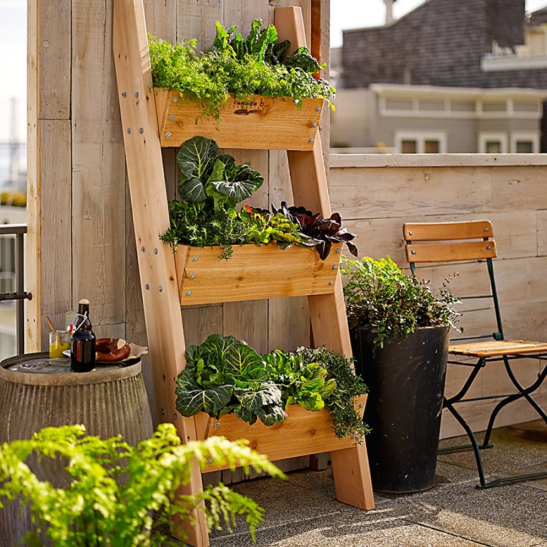 vertical gardening to save storage space 