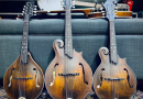 The Complete Guide to Buying Your First Mandolin